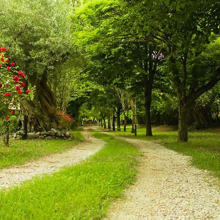Ciclopark Morano Calabro Villa Ngoại thất bức ảnh