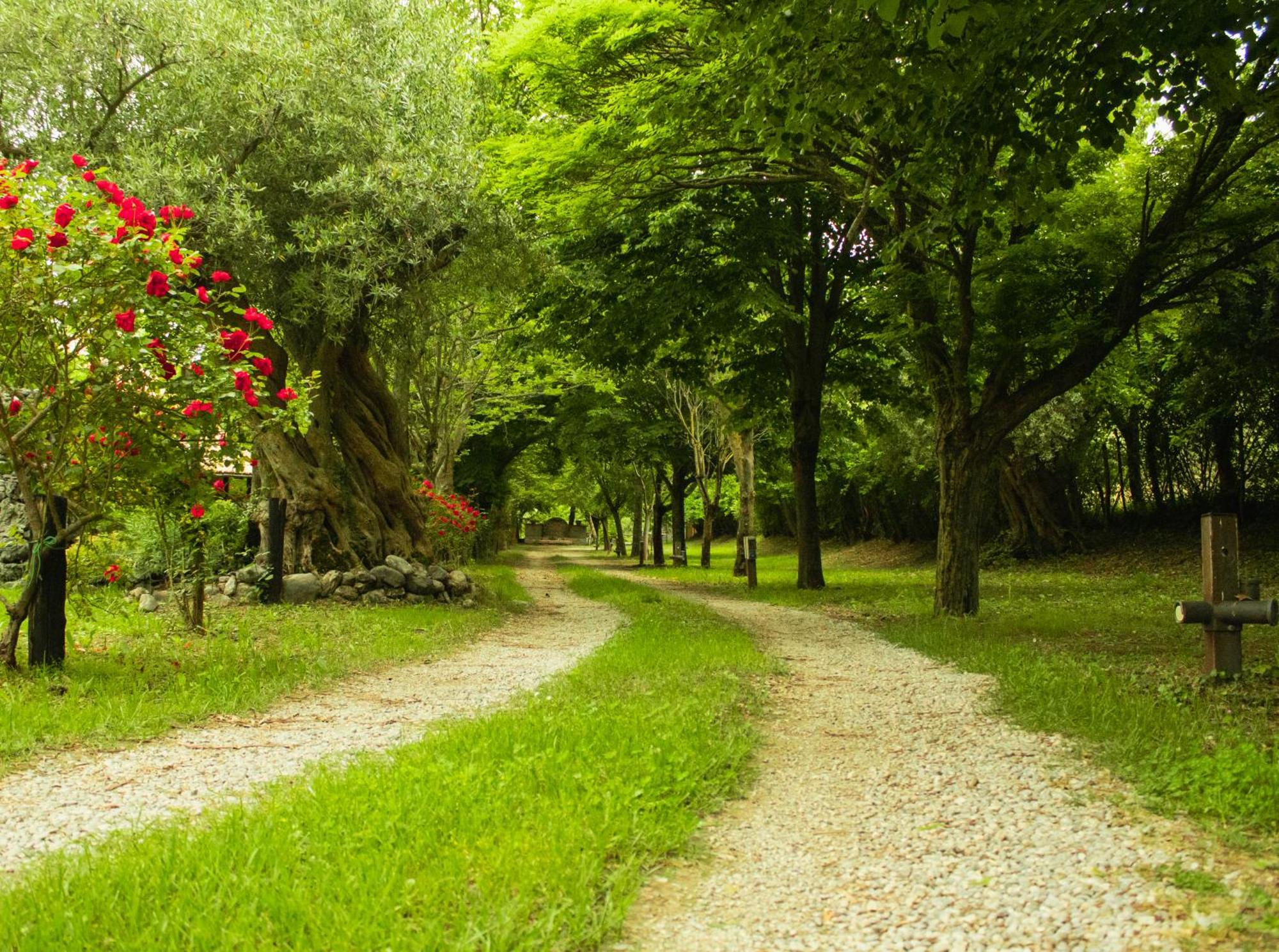 Ciclopark Morano Calabro Villa Ngoại thất bức ảnh